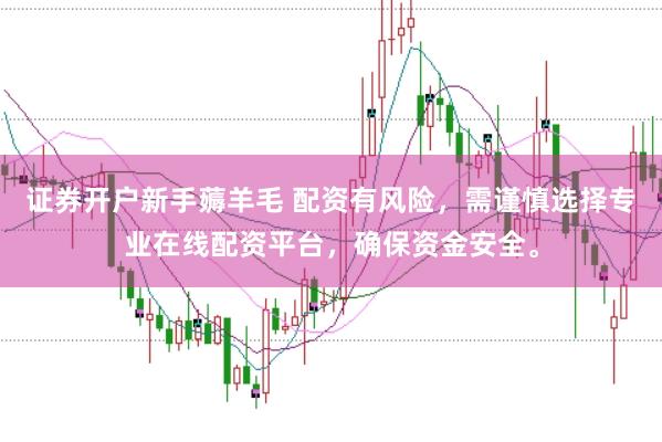 证券开户新手薅羊毛 配资有风险，需谨慎选择专业在线配资平台，确保资金安全。