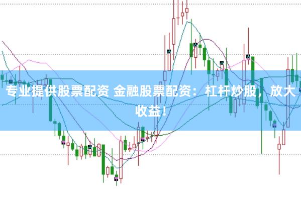 专业提供股票配资 金融股票配资：杠杆炒股，放大收益！