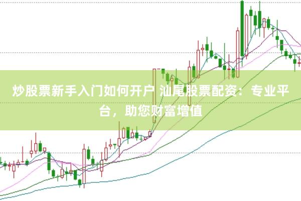 炒股票新手入门如何开户 汕尾股票配资：专业平台，助您财富增值