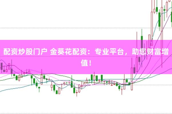 配资炒股门户 金葵花配资：专业平台，助您财富增值！