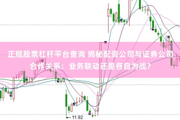 正规股票杠杆平台查询 揭秘配资公司与证券公司合作关系：业务联动还是各自为战？