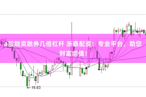 a股融资融券几倍杠杆 浙嘉配资：专业平台，助您财富增值！
