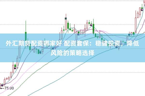 外汇期货配资哪家好 配资套保：稳健投资，降低风险的策略选择