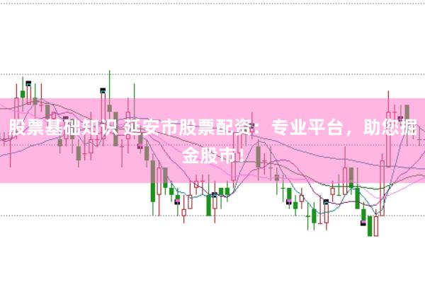 股票基础知识 延安市股票配资：专业平台，助您掘金股市！