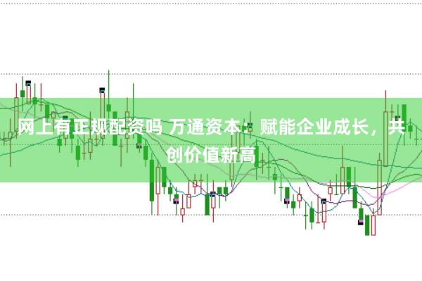 网上有正规配资吗 万通资本：赋能企业成长，共创价值新高