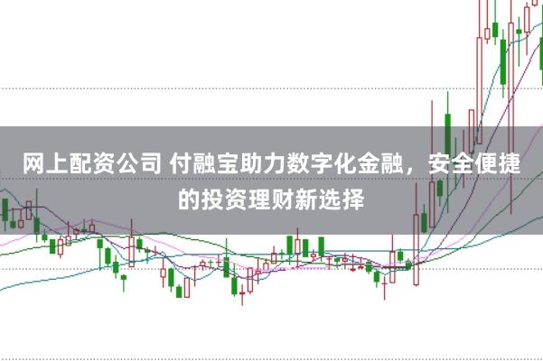 网上配资公司 付融宝助力数字化金融，安全便捷的投资理财新选择