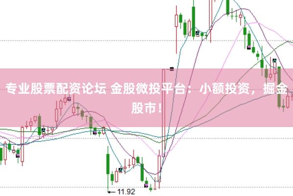 专业股票配资论坛 金股微投平台：小额投资，掘金股市！