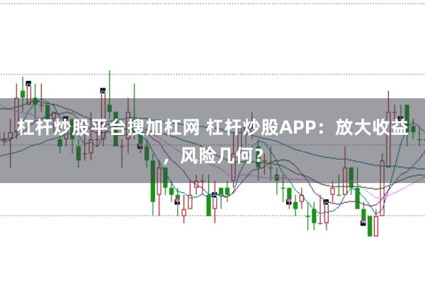 杠杆炒股平台搜加杠网 杠杆炒股APP：放大收益，风险几何？