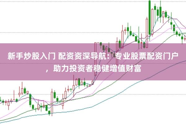 新手炒股入门 配资资深导航：专业股票配资门户，助力投资者稳健增值财富