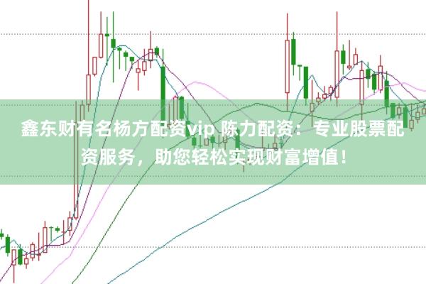 鑫东财有名杨方配资vip 陈力配资：专业股票配资服务，助您轻松实现财富增值！