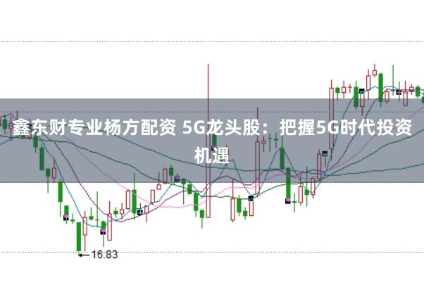 鑫东财专业杨方配资 5G龙头股:把握5G时代投资机遇