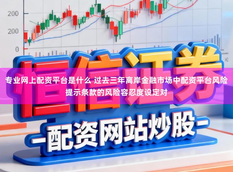 专业网上配资平台是什么 过去三年离岸金融市场中配资平台风险提示条款的风险容忍度设定对