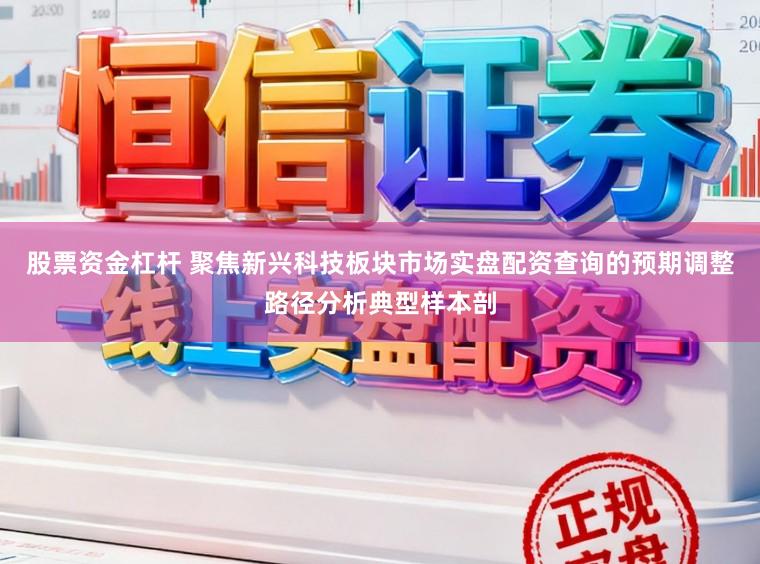 股票资金杠杆 聚焦新兴科技板块市场实盘配资查询的预期调整路径分析典型样本剖