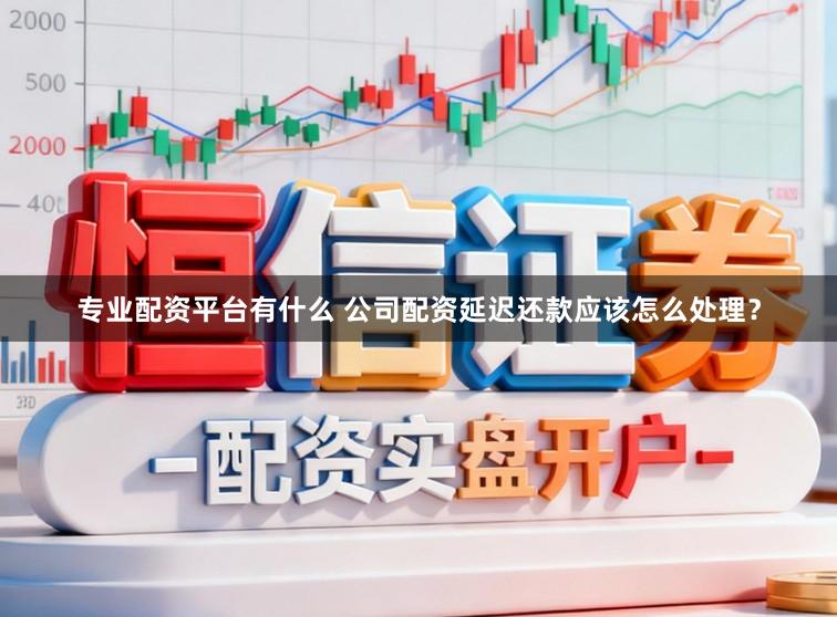 专业配资平台有什么 公司配资延迟还款应该怎么处理？